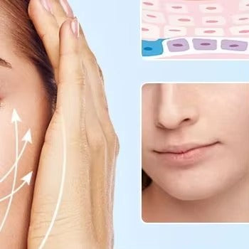 1767995304696177a8680441735046